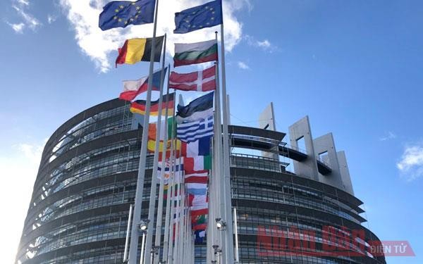 El Parlamento Europeo pide a la UE revisar tratados importantes - ảnh 1