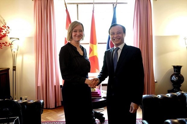 Vietnam y Dinamarca promueven intercambios entre pueblos  - ảnh 1