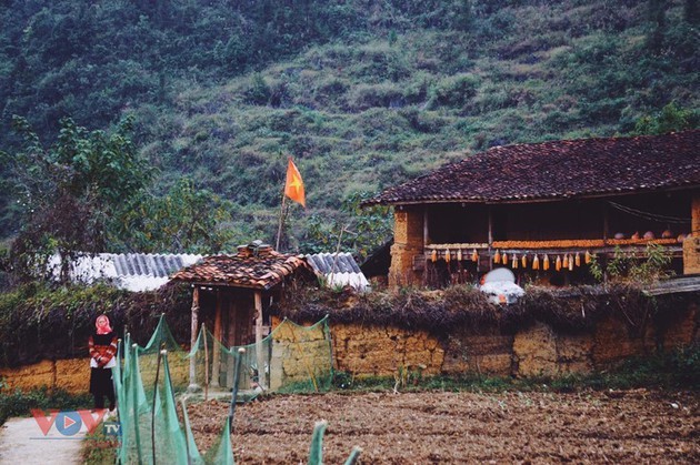 La belleza del poblado de Lo Lo Chai en Ha Giang - ảnh 2