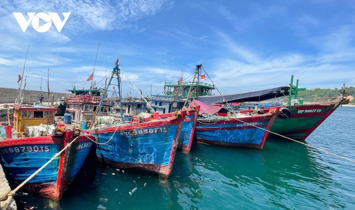 Descubrir la isla más remota de Vietnam en el golfo de Tonkín - ảnh 3