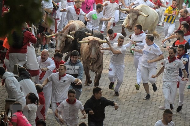 Tres personas murieron en festival de carreras con toros en España - ảnh 1