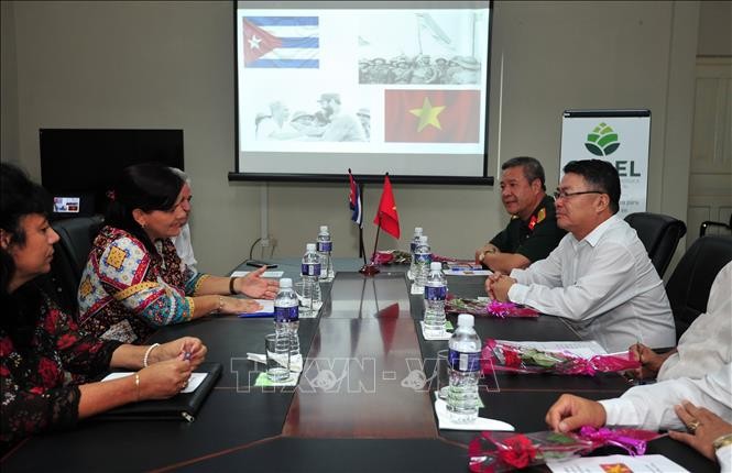 Honran amistad entre Vietnam y Cuba - ảnh 1