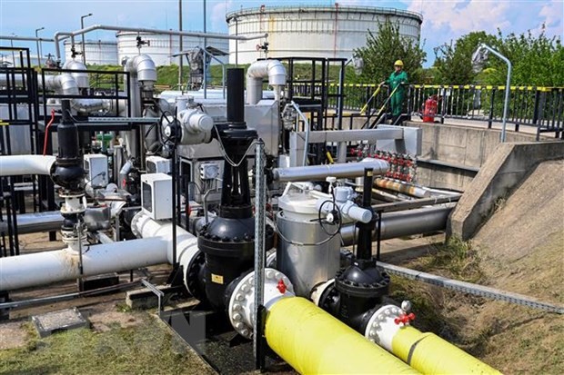 La rama sur del oleoducto Druzhba reanuda sus operaciones   - ảnh 1