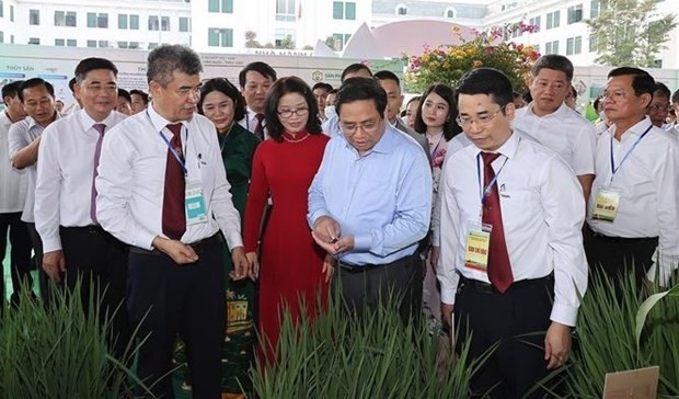 Primer ministro de Vietnam enfatiza formación de recursos humanos de alta calidad para la agricultura - ảnh 1