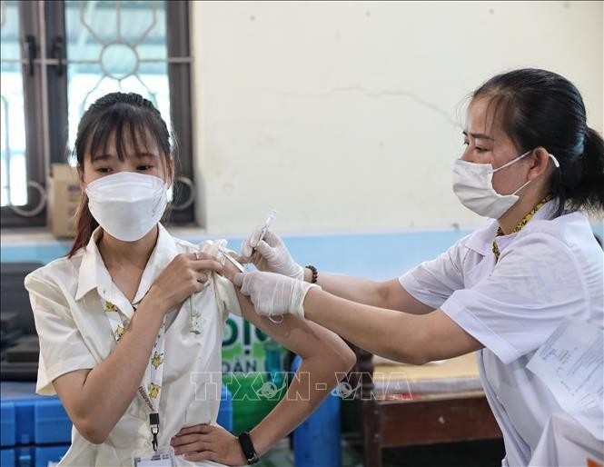 Los nuevos casos de covid-19 en Vietnam caen el miércoles - ảnh 1