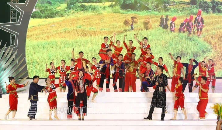 Celebran el Segundo Festival Cultural Nacional de la etnia Dao en Thai Nguyen - ảnh 11
