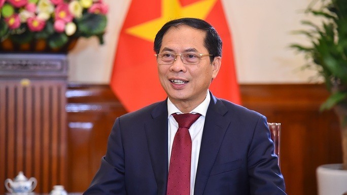 Vietnam se unirá a la comunidad internacional para construir un mundo pacífico - ảnh 1