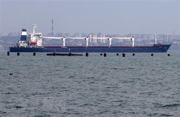 Naciones Unidas pide una solución urgente a la congestión de buques graneleros en el Mar Negro  - ảnh 1