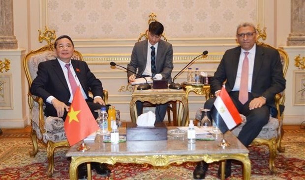 Vicepresidente del Parlamento de Vietnam visita Egipto - ảnh 1