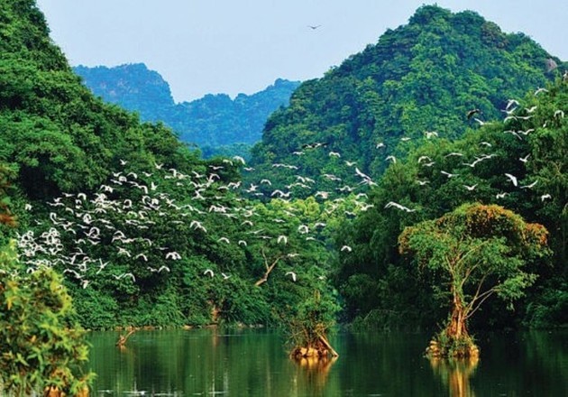 El parque de aves Thung Nham - ảnh 5
