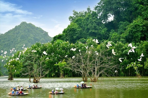 El parque de aves Thung Nham - ảnh 4