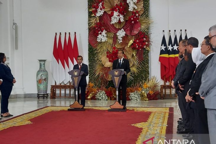 Indonesia prepara una hoja de ruta para convertir a Timor Leste en miembro oficial de la ASEAN - ảnh 1