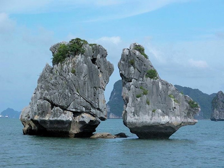 Bahía de Ha Long entre los 25 mejores destinos del mundo - ảnh 10