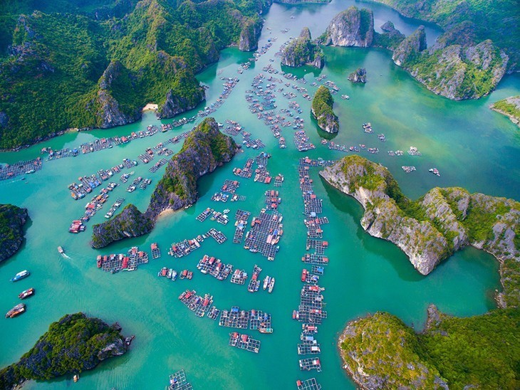Bahía de Ha Long entre los 25 mejores destinos del mundo - ảnh 4