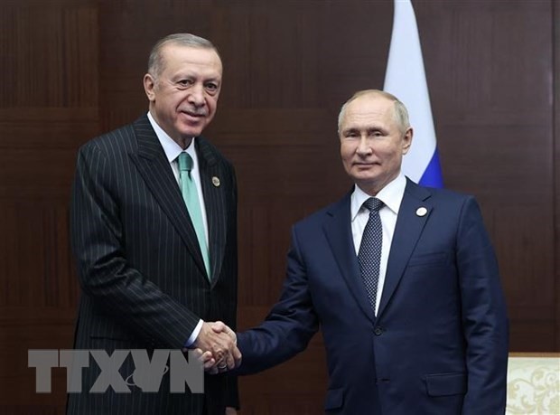 Líderes de Rusia y Turquía hablan por teléfono sobre asociación bilateral - ảnh 1