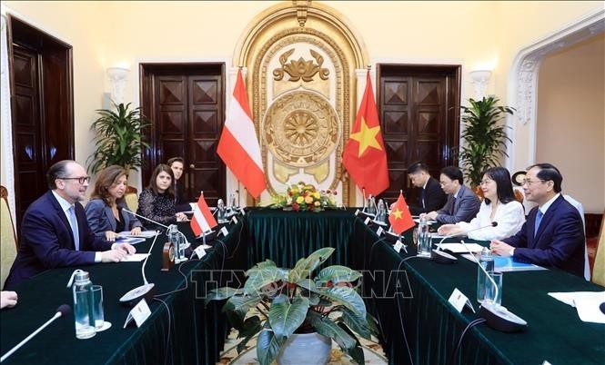 Ministro austriaca optimista sobre los lazos comerciales con Vietnam - ảnh 1
