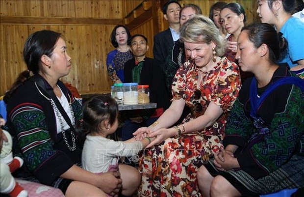 Reina belga impresionada con protección de los niños en Vietnam - ảnh 1