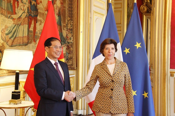 Canciller vietnamita visita Francia - ảnh 1