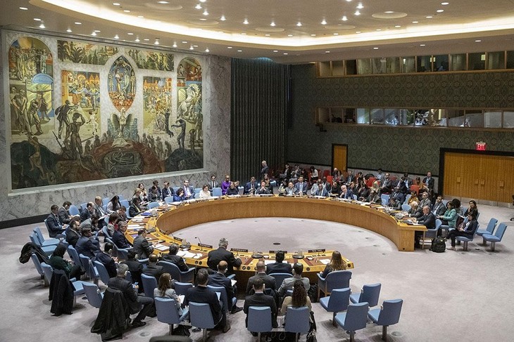 Reino Unido apoya a África para puesto permanente en Consejo de Seguridad de la ONU - ảnh 1