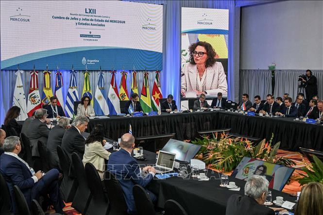 Argentina llama a promover TLC entre UE y Mercosur - ảnh 1