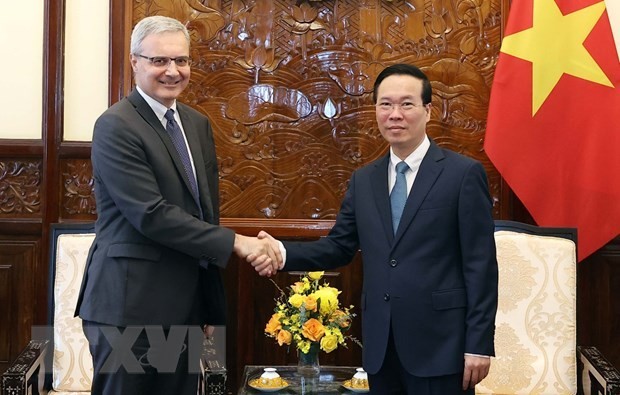 El presidente Vo Van Thuong recibe al embajador francés - ảnh 1