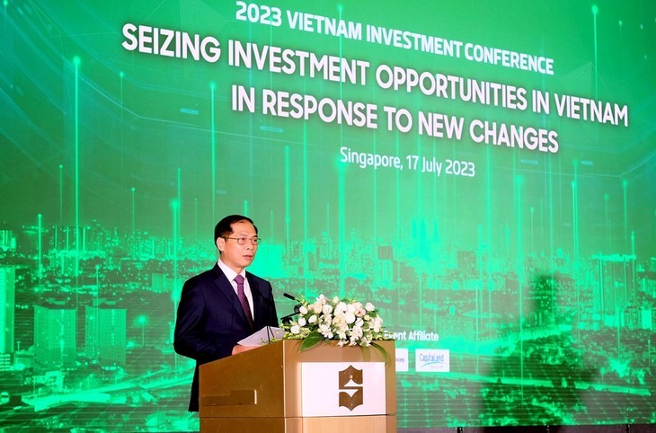 Conferencia promueve oportunidades de inversión entre Vietnam y Singapur - ảnh 1
