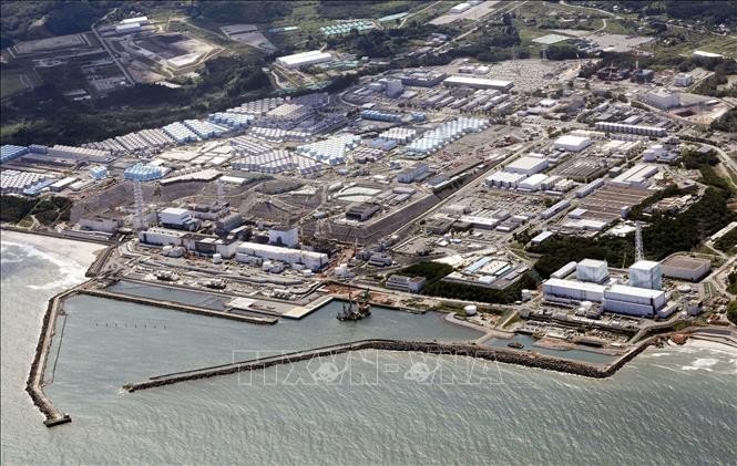 Autoridades surcoreanas certifican la seguridad del vertido de agua radiactiva de la planta nuclear de Fukushima en Japón - ảnh 1