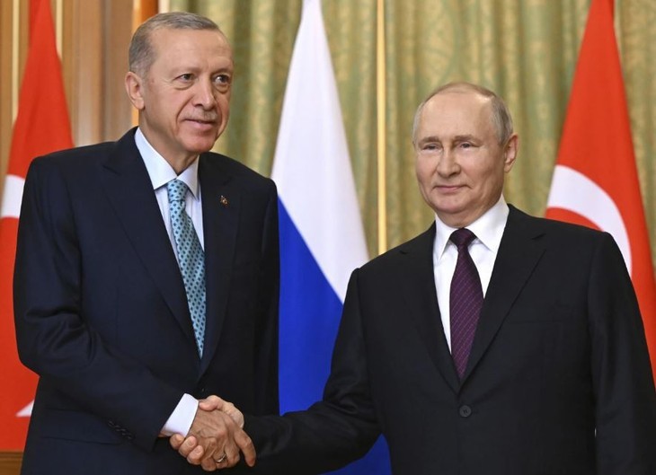 Putin listo para dialogar sobre el acuerdo de cereales del Mar Negro - ảnh 1
