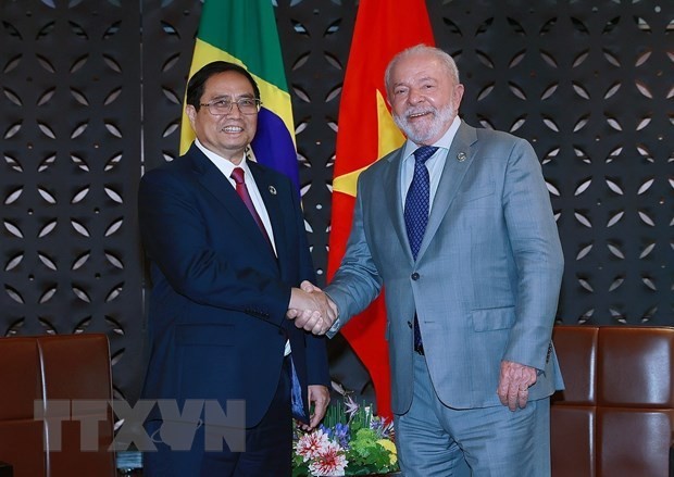 Visita a Brasil del Premier vietnamita eleva relaciones bilaterales a un nuevo nivel, según diplomática - ảnh 1