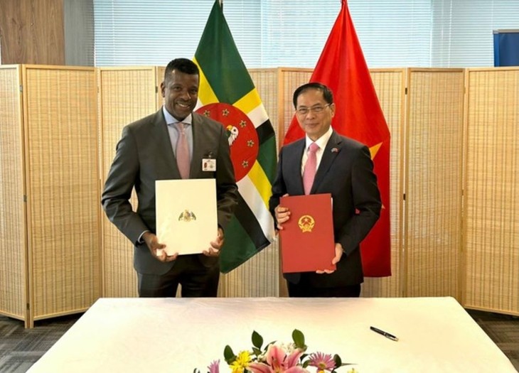 Vietnam y Dominica fortalecen relaciones  - ảnh 1
