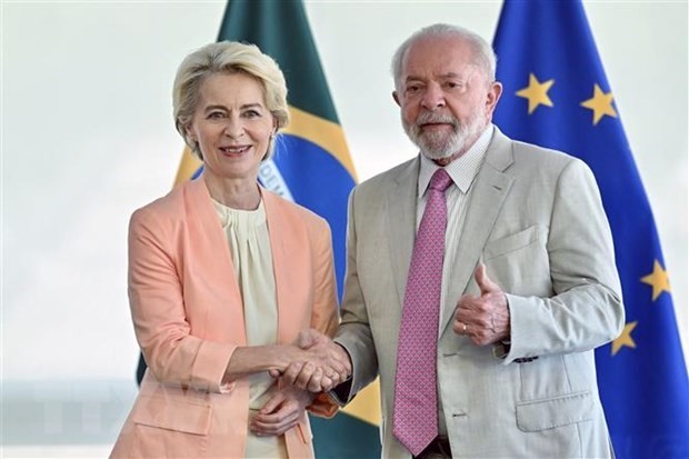 UE y MERCOSUR acordaron acelerar la finalización de acuerdo comercial - ảnh 1