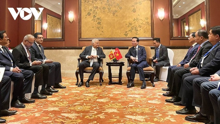 Presidente de Vietnam dialoga con su par de Sri Lanka - ảnh 1