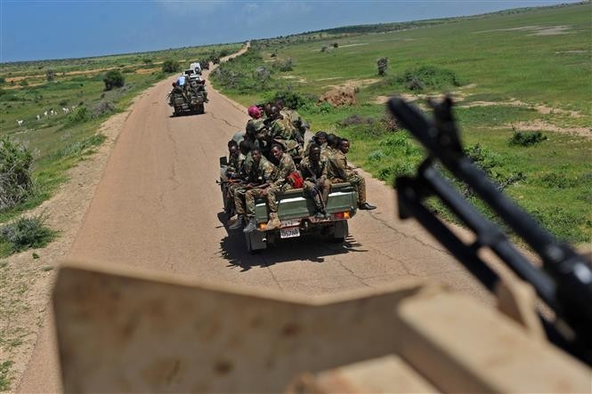 Naciones Unidas levanta el embargo de armas al Gobierno somalí tras más de 30 años - ảnh 1