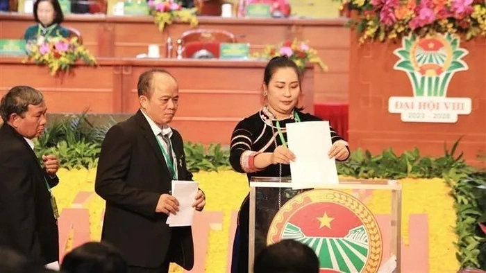Eligen 111 delegados al comité ejecutivo de la Unión de Agricultores de Vietnam - ảnh 1