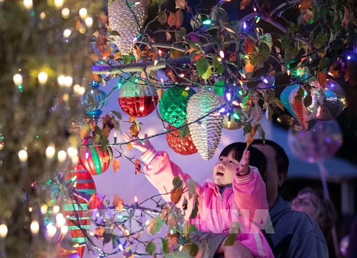 Vietnam entre mayores exportadores de adornos navideños a Estados Unidos - ảnh 1