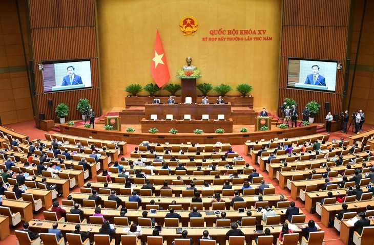 Asamblea Nacional de Vietnam cierra su quinta reunión extraordinaria - ảnh 1