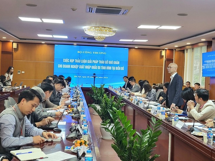 Empresas vietnamitas buscan soluciones para enfrentar impactos de las tensiones en Mar Rojo - ảnh 1