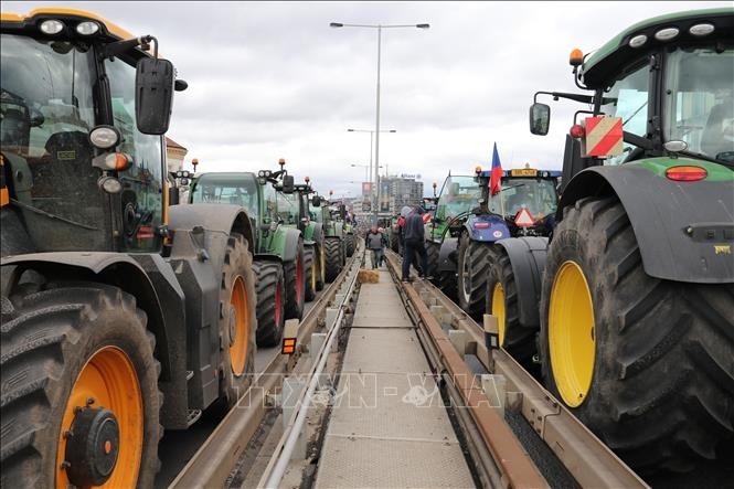 Protestas de agricultores en la frontera entre Eslovaquia y República Checa - ảnh 1