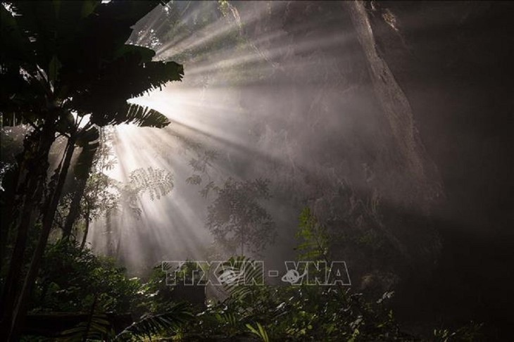 La cueva de Son Doong nombrada entre las 10 más bellas del mundo - ảnh 2