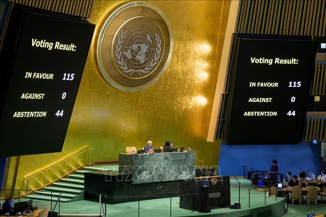 La Asamblea General de la ONU aprueba resolución contra la islamofobia - ảnh 1