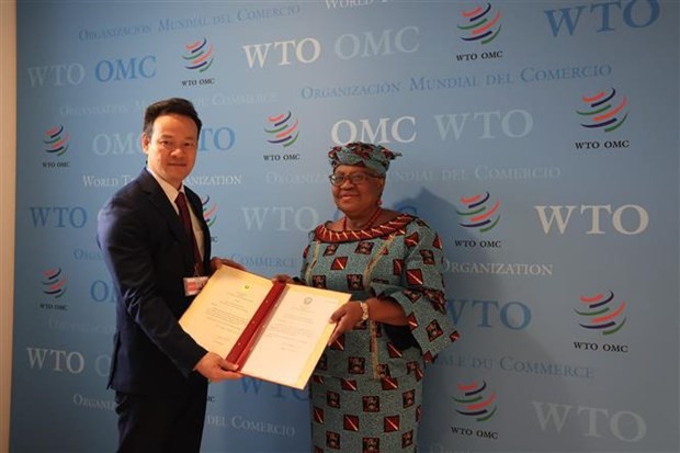 La OMC reconoce contribución de Vietnam al sistema de comercio multilateral - ảnh 1