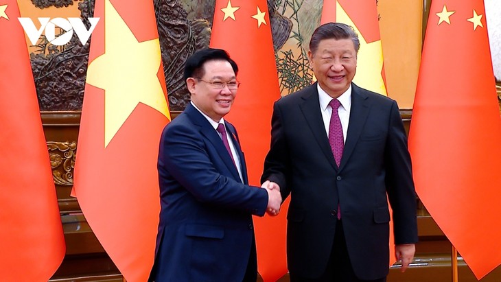 Implementación más efectiva de los mecanismos de cooperación Vietnam-China - ảnh 1