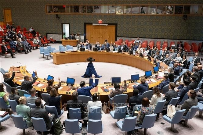 ONU elige cinco nuevos miembros no permanentes del Consejo de Seguridad - ảnh 1