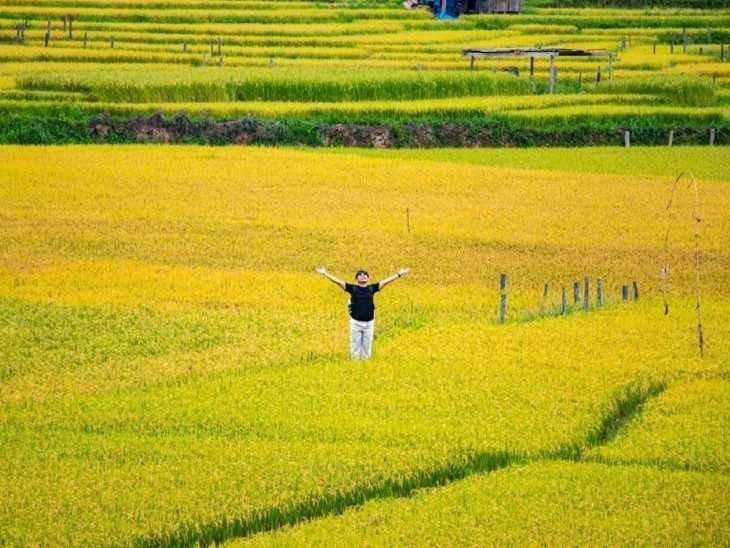 Temporada dorada en las terrazas de arroz de Kon Tum - ảnh 6