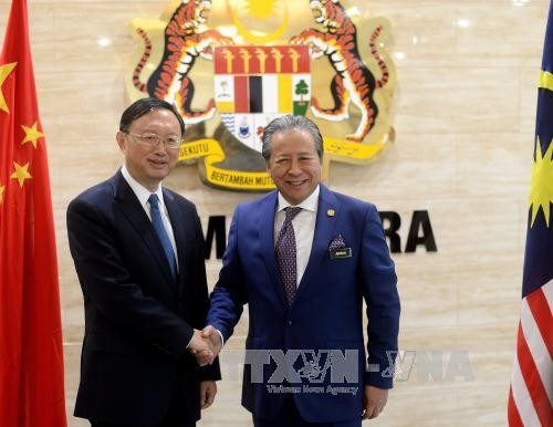 马来西亚和中国一致同意加强合作关系 - ảnh 1