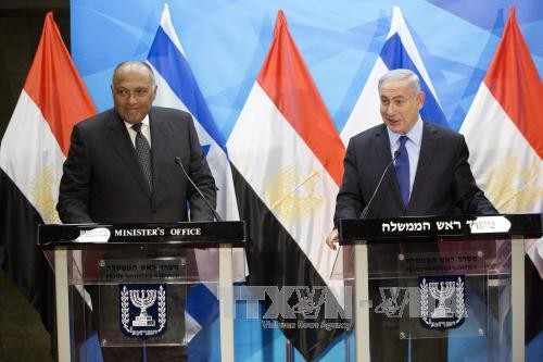 埃及努力寻找措施重启中东和平谈判 - ảnh 1