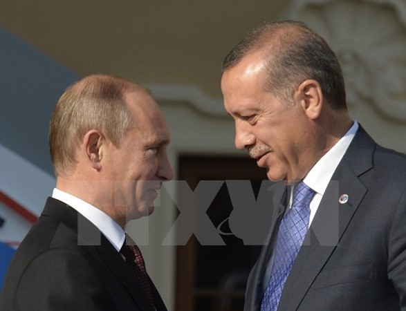 俄罗斯希望恢复和发展与土耳其关系 - ảnh 1