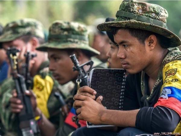 哥伦比亚敦促联合国及早派员监督停火协议 - ảnh 1
