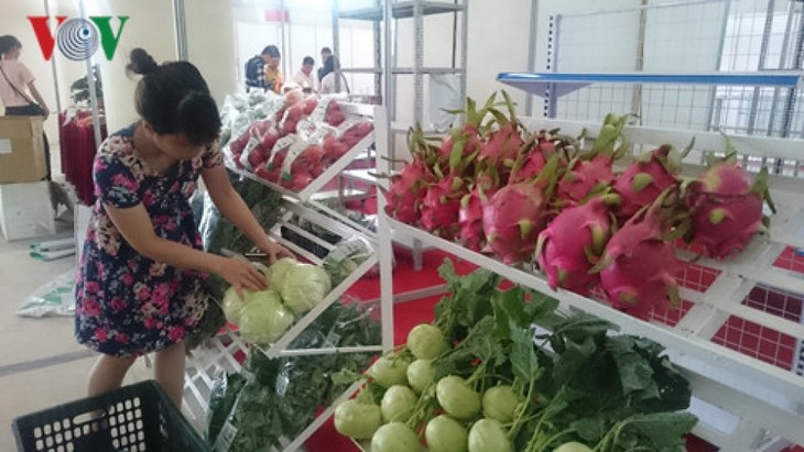 越南蔬果出口额约达10亿美元 - ảnh 1
