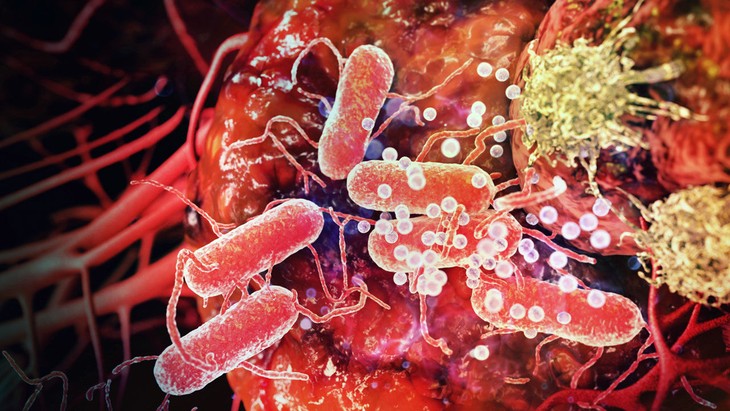瑞士科学家宣布培育出针对癌症的人造病毒 - ảnh 1